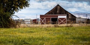 portrait photography, medford oregon
