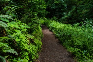 portrait photography, medford oregon