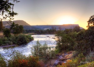 portrait photography, medford oregon