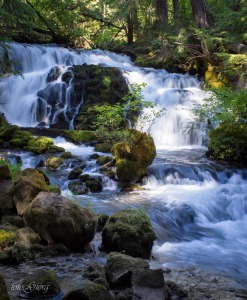portrait photography, medford oregon