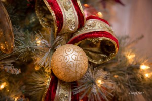 medford, oregon, photography, Christmas