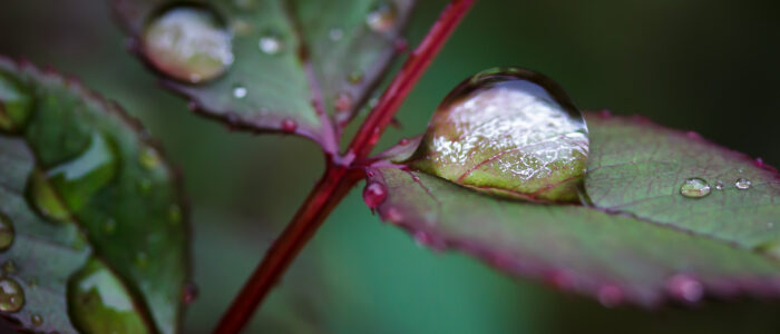 photography, southern oregon, medford