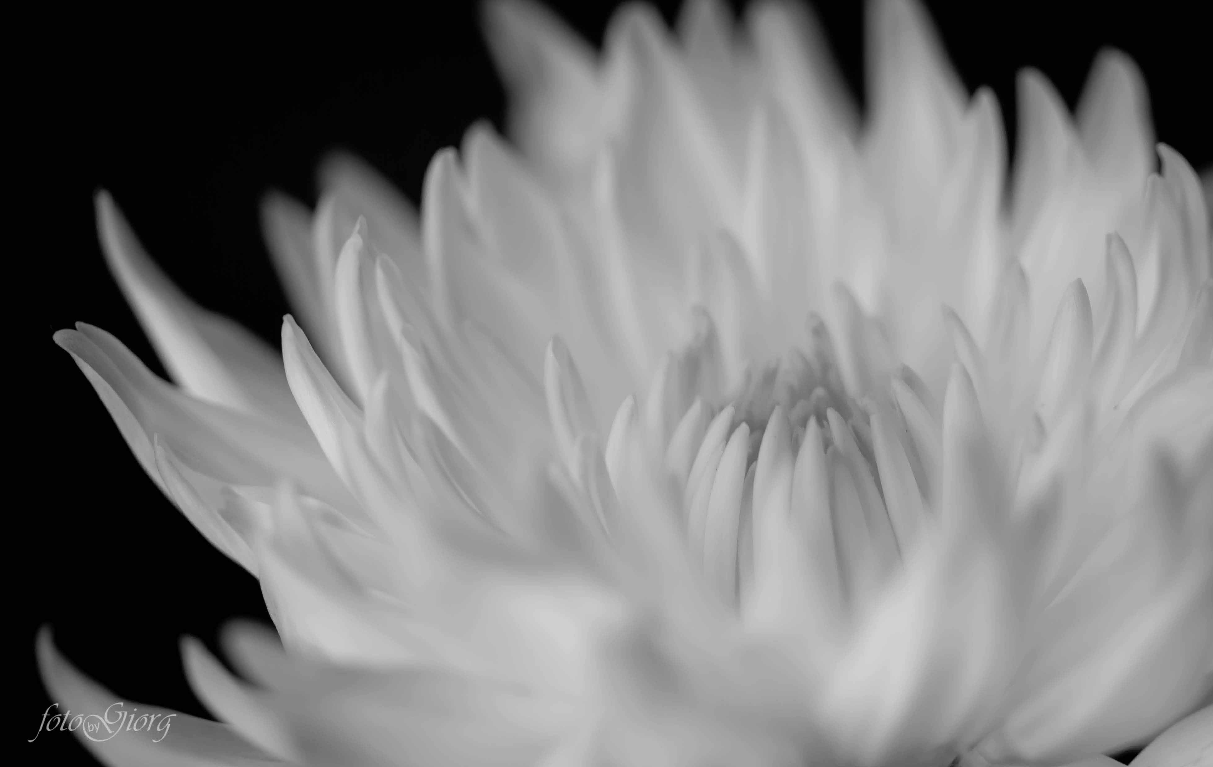 portrait photography, medford oregon