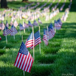 photography, memorial day, medford, oregon, remember, patriotic, Ealge Point VA Cemetery